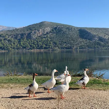 Rouchotas Apartmanhotel